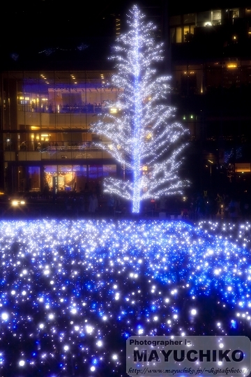 東京ミッドタウンのイルミネーション