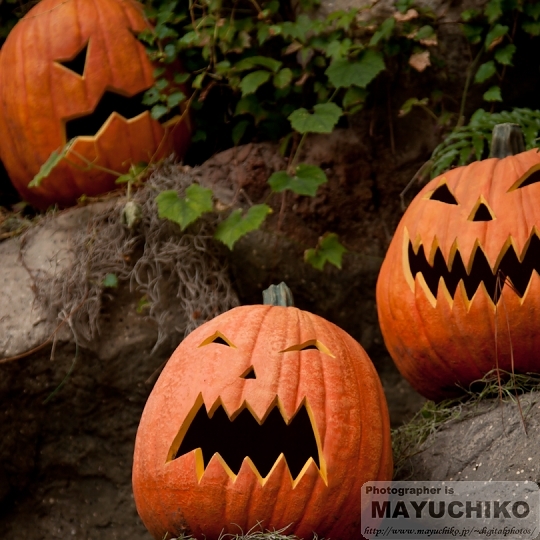 ハロウィン－かぼちゃ