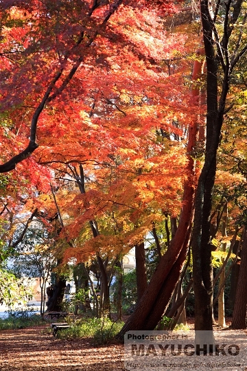 記念庭園